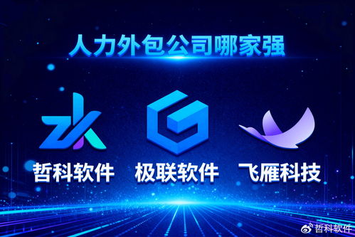 人力外包公司哪家強？最新口碑推薦榜單曝光，軟件外包服務限時公開