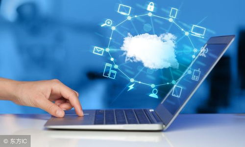 云計算 從網絡應用模式到軟件外包服務的演化