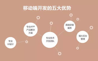 直擊軟件外包痛點，中科天基成就卓越服務