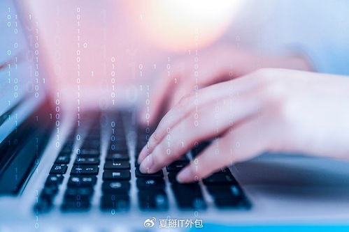 軟件開發板塊震蕩走強，IT運維外包迎發展新機遇